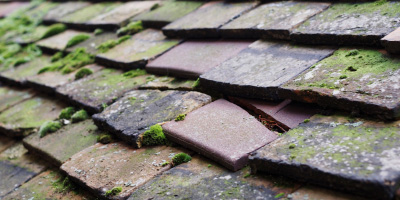 Fen Drayton roof repair costs